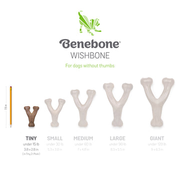 Tiny 2 - Pack Dental Chew/Wishbone Bacon